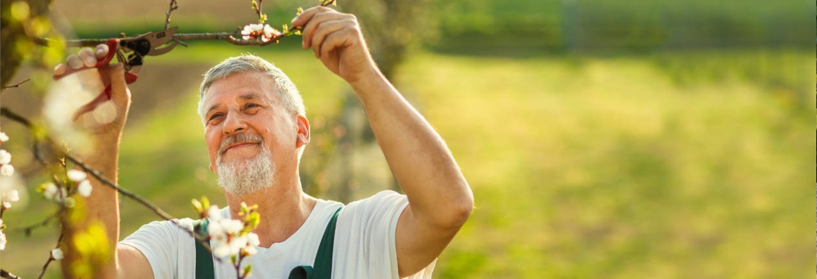 Siena-Garend-Schere_1280x1280