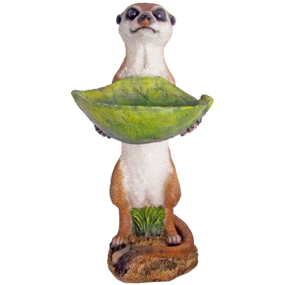 Erdmännchen LORENZO mit Vogeltränke